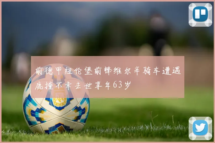 前德甲纽伦堡前锋维尔辛骑车遭遇鹿撞不幸去世享年63岁