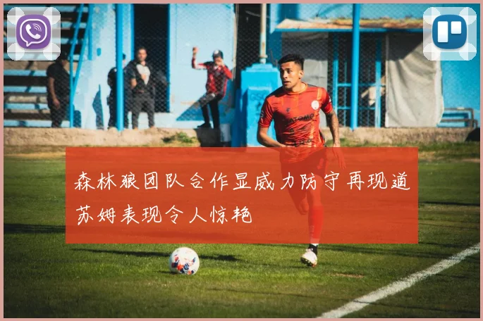 森林狼团队合作显威力防守再现道苏姆表现令人惊艳